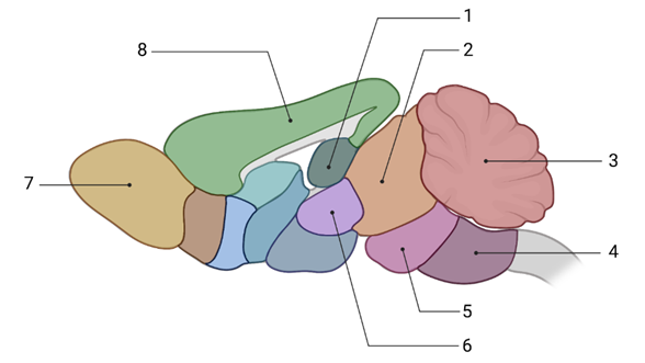 https://uchebnik.mos.ru/cms/system/atomic_objects/files/013/196/835/original/image034.png