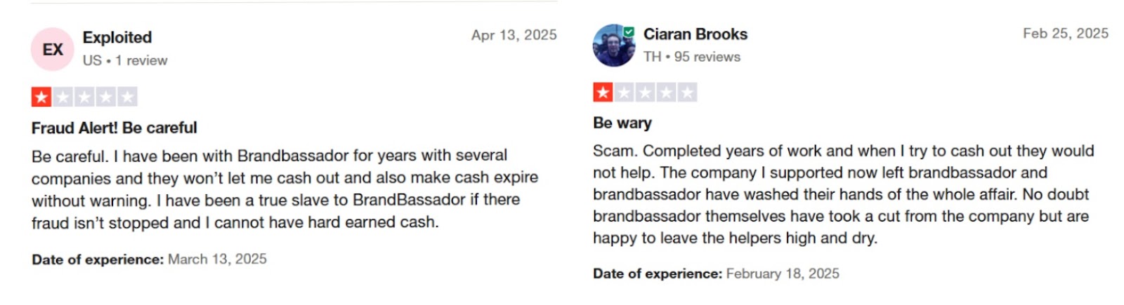 Brandbassador user review on trustpilot