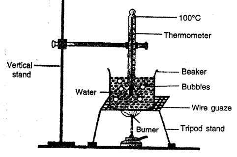 Selina Concise Physics Class 8 ICSE Solutions Chapter 1 Matter 12