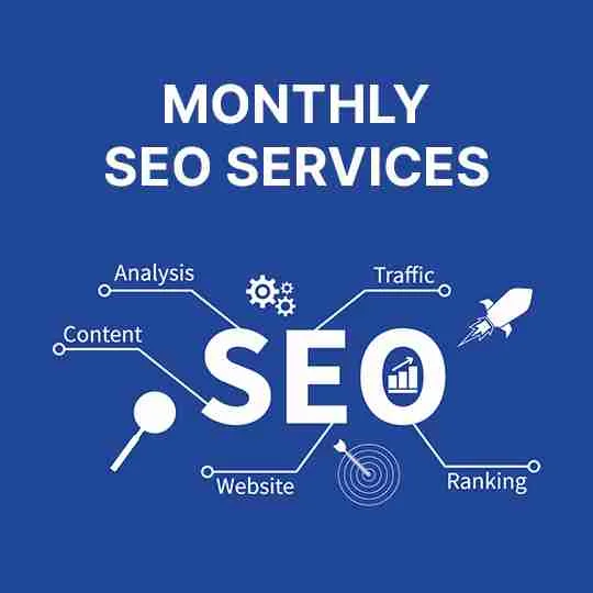 Search Engine Optimization Expert