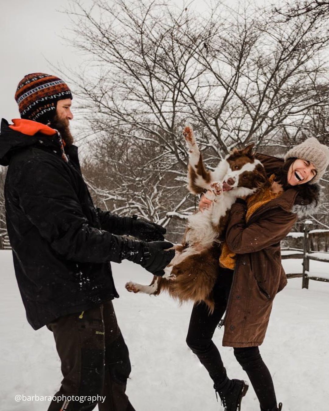 winter engagement photos to inspire you a couple plays with a dog in the snow