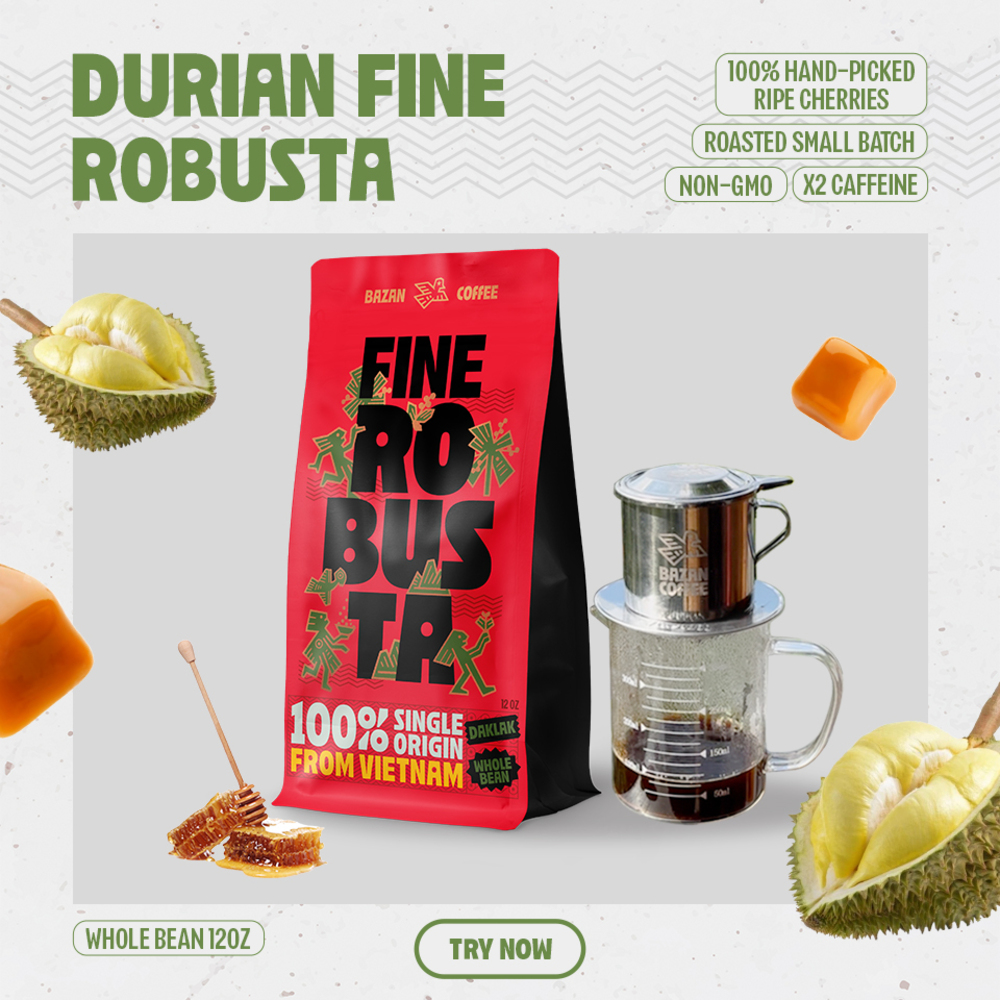 Why Fine Robusta Krong Nang Stands Out