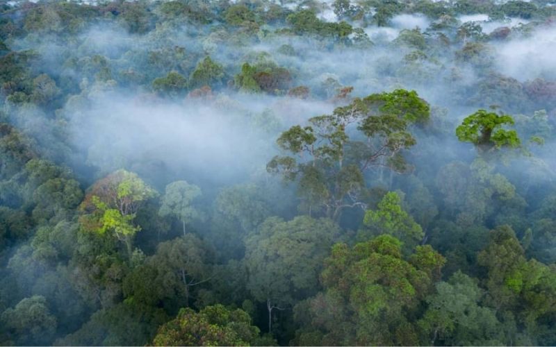 gunung di kalimantan