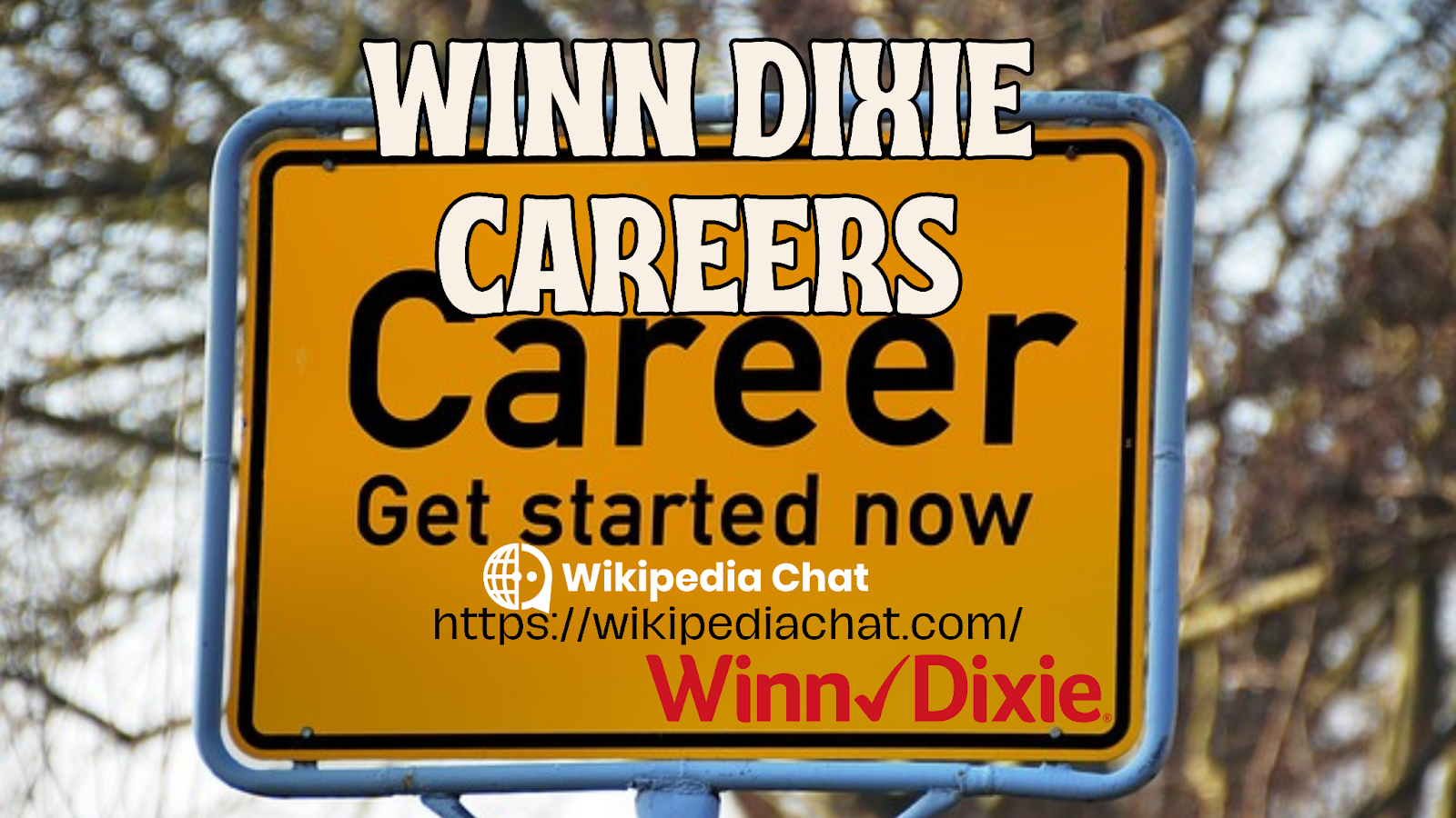 winn dixie careers