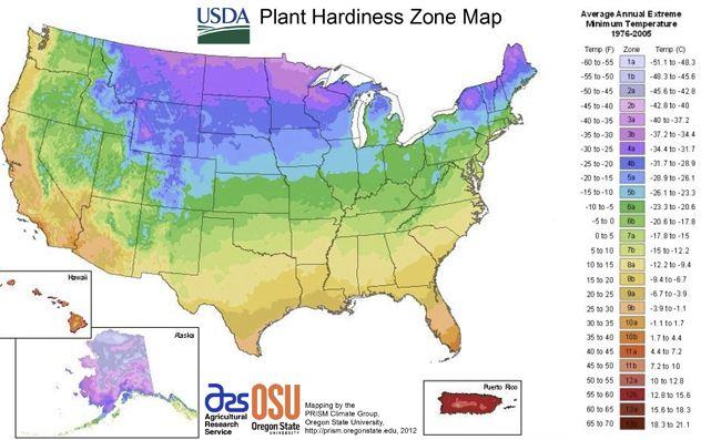 usda-hardiness-zones.jpg