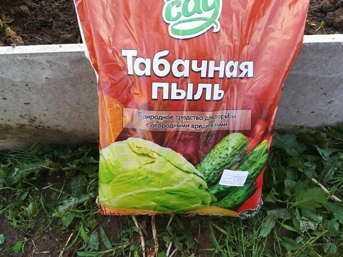 Табачная пыль в огороде