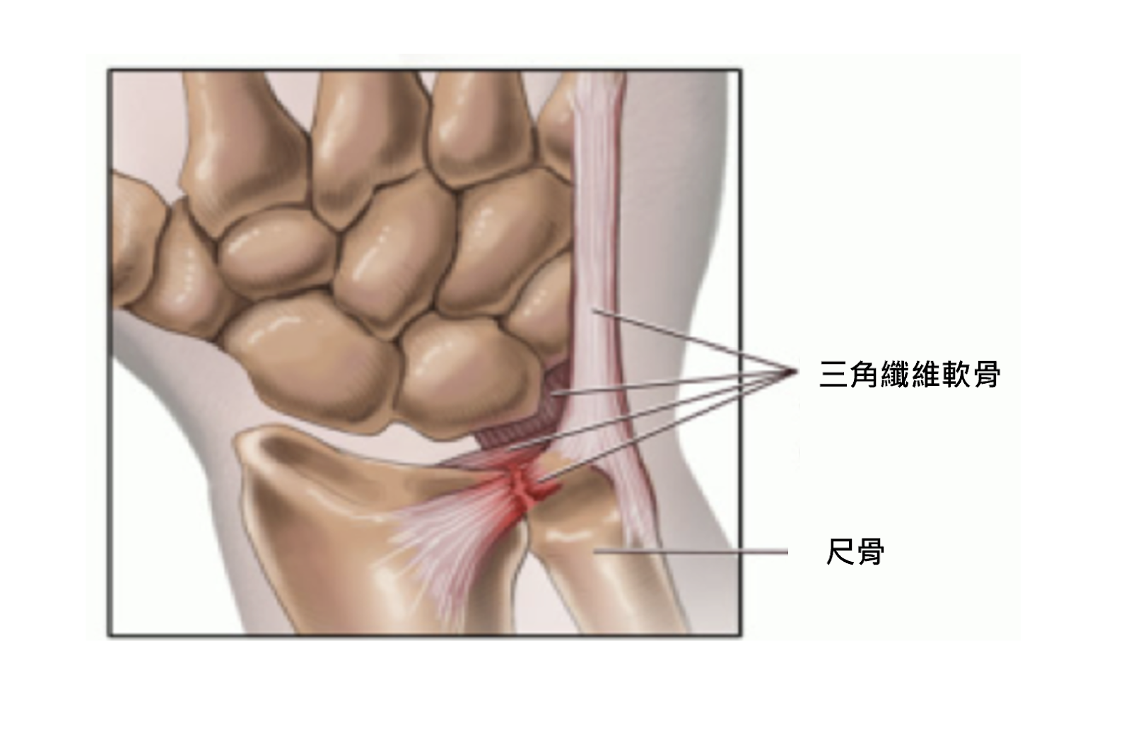 一張含有 接頭 的圖片

AI 產生的內容可能不正確。