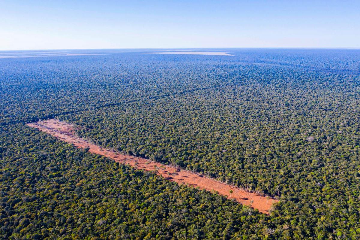 An aerial photo of the Xingu Indigenous Park in the Brazilian Amazon is one of the world’s most biodiverse areas.