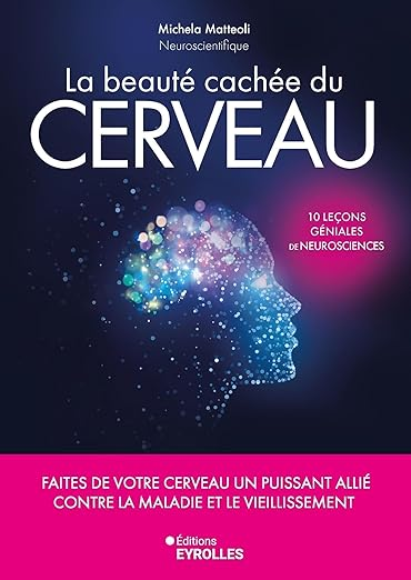 La beauté cachée du cerveau