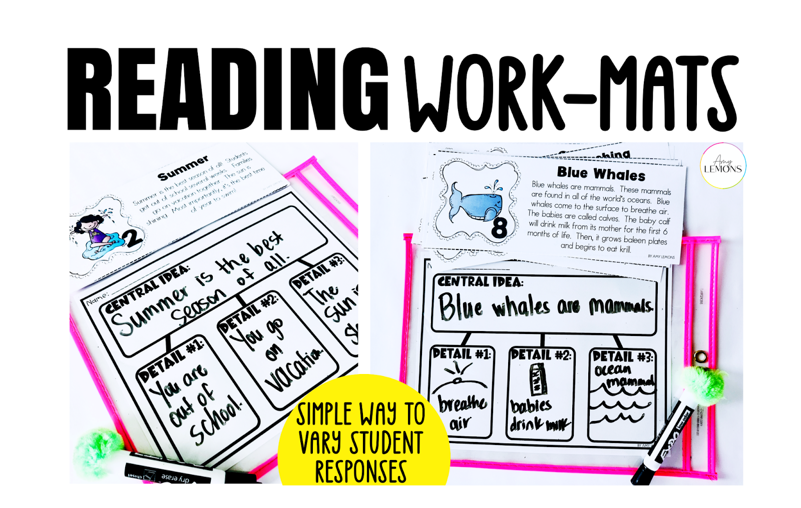 Reading work mats with central ideas graphic organizer.