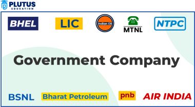 what is government company
