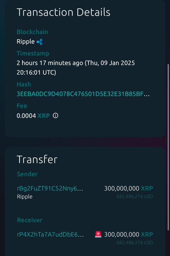 XRP transaction details