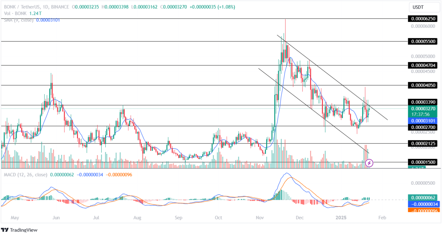 Bonk Price Analysis 22nd January 2025