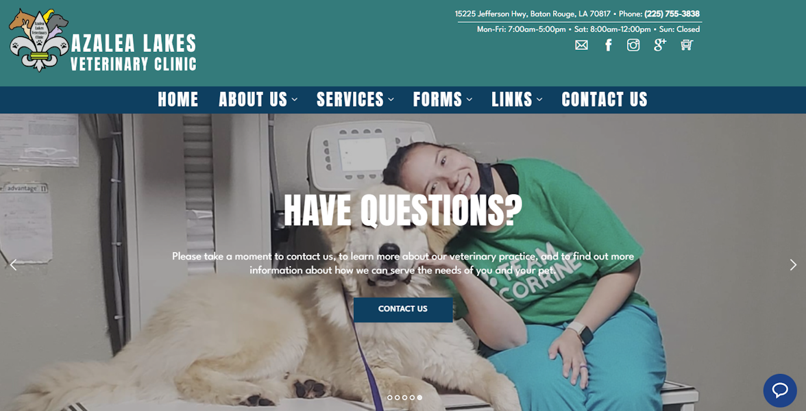 Veterinary Website Design