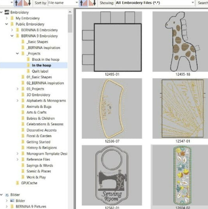 Bernina Embroidery Software Features