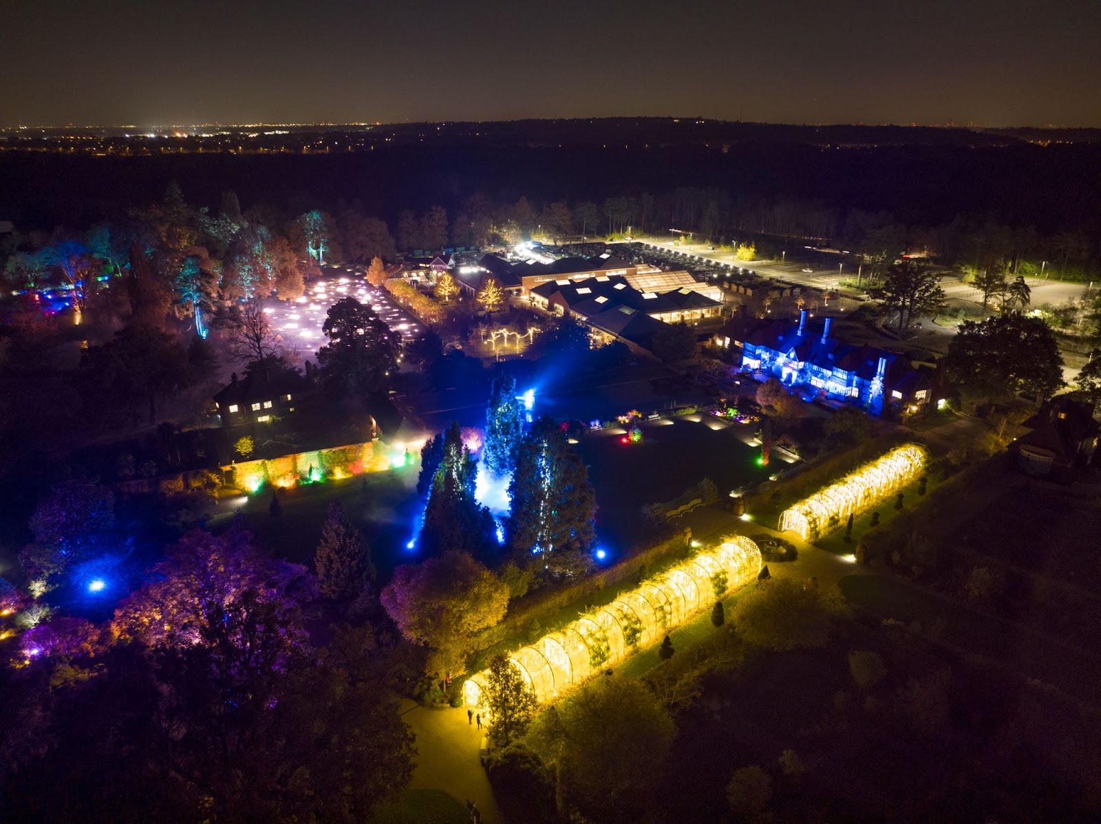 RHS Wisley Christmas light trail in Surrey, featuring beautifully lit trees and enchanting garden displays for a magical holiday experience