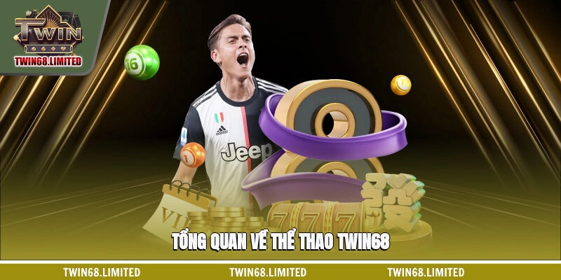 thể thao Twin68 - Hình 1