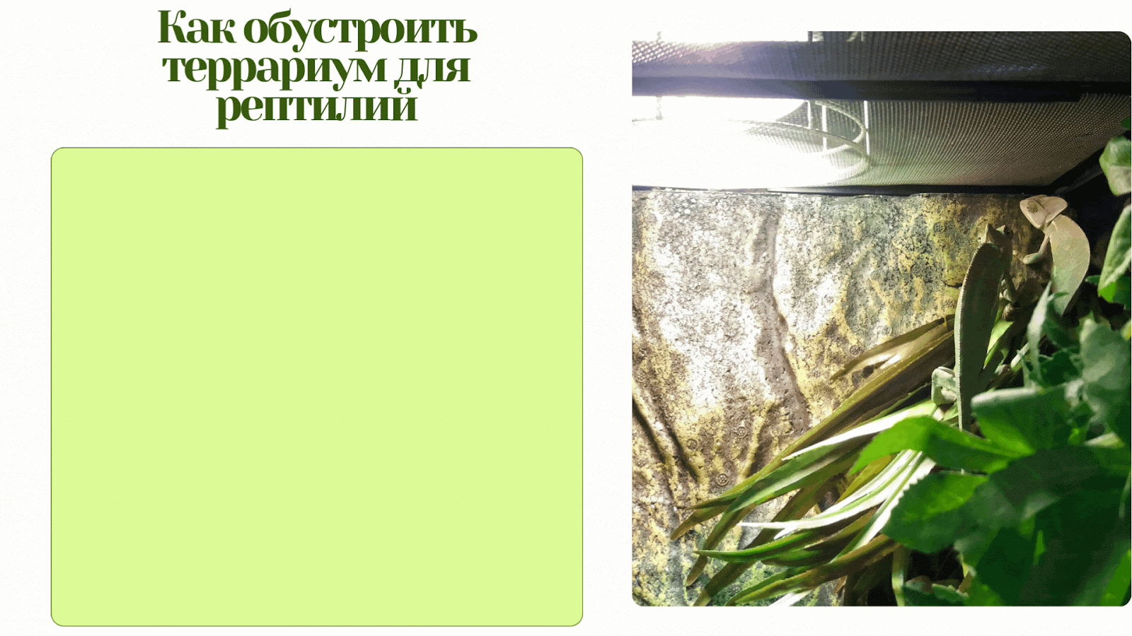 AD_4nXd9PQw0TSMgOeMKv-oe5HeSlP9pVQqzyCCsH4rQxUntgUMhc16a9oV8PPyw56fEaIti8Q89s1_eDDfJMHwMCaG48_1RH3JJD5hFqjBqdiVFhnUc6QUVx2NMgmdKKDhhrcNpZNS20A?key=HWaKMpKdtYb1iph62jDCTQ
