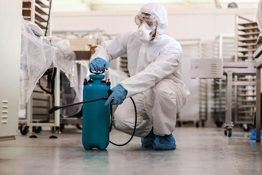 How to choose a Professional Pest Control Company in Delhi and Gurgaon -  CPC(India) Pest Control