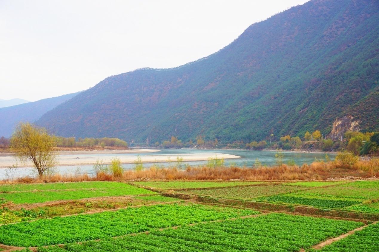 金沙江虎跳峡水电工程四大害∕范晓