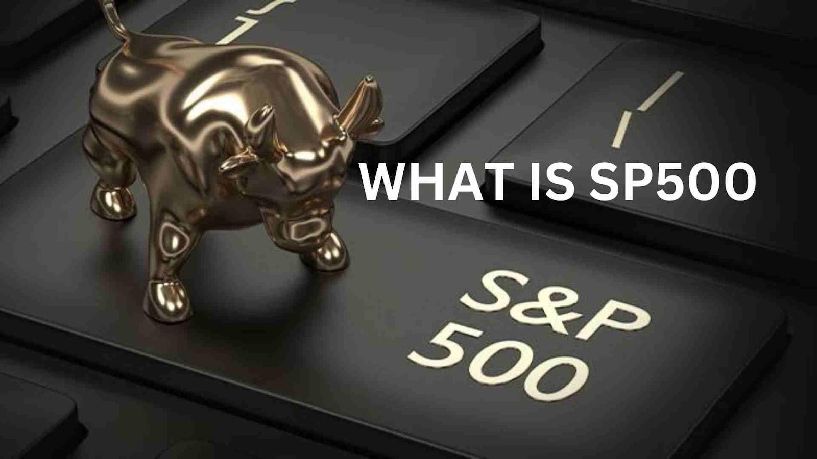 what is sp500