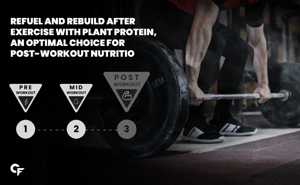 Pea protein powder vegan, plant protein supplement for women, plant-based protein for women,