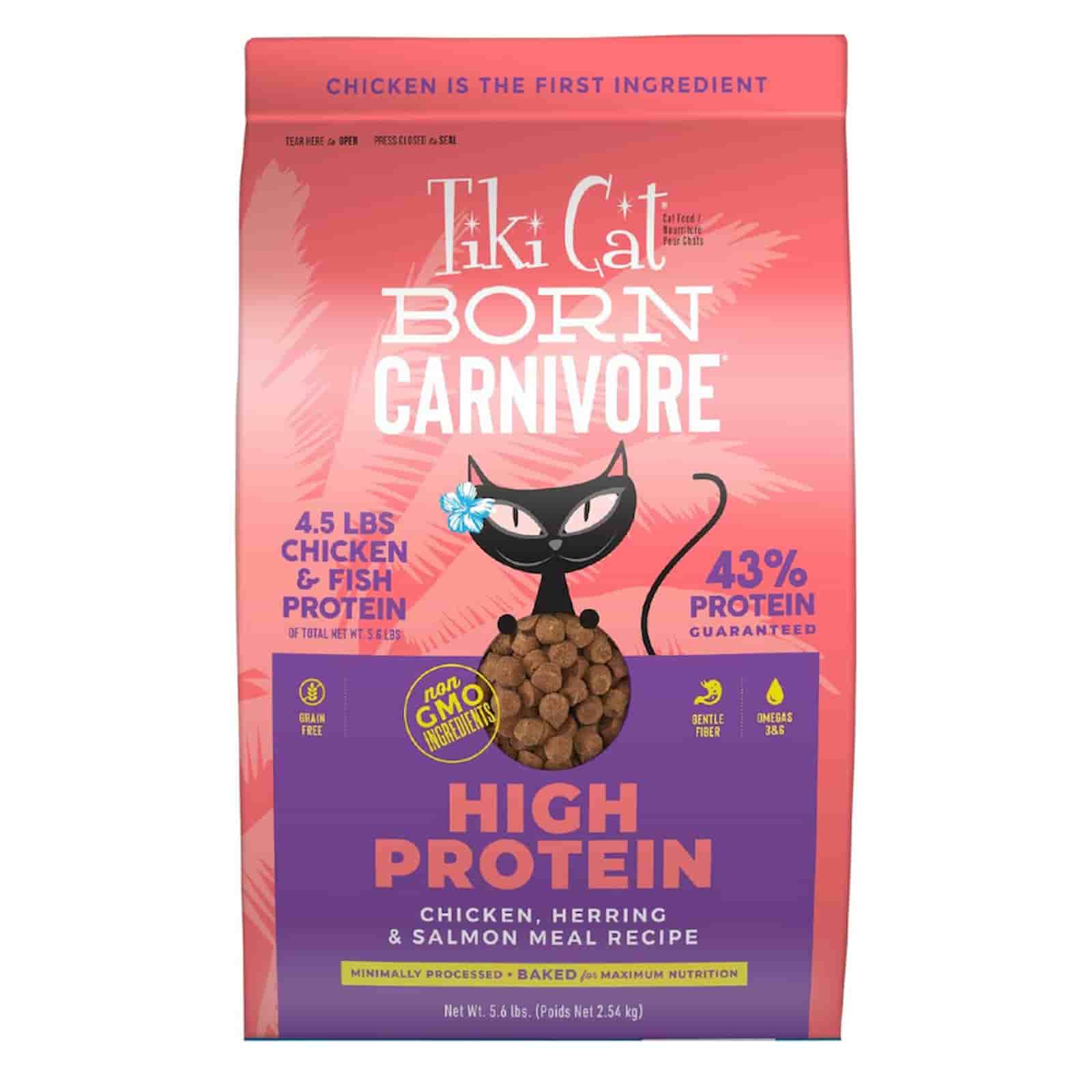 Tiki Cat (Born Carnivore)