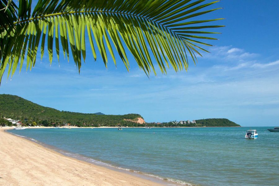 Koh Samui with its wild beauty has long been a tourist destination. 