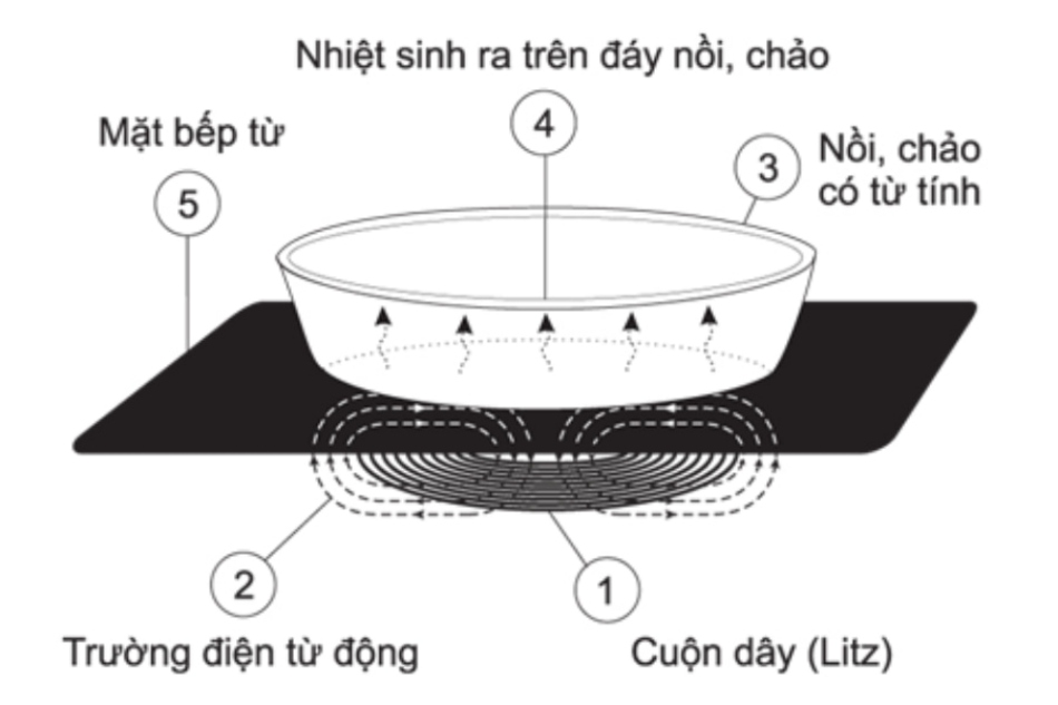 Nguyên lý hoạt động của bếp từ