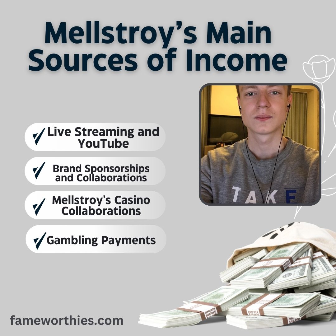 Mellstroy’s Main Sources of Income
