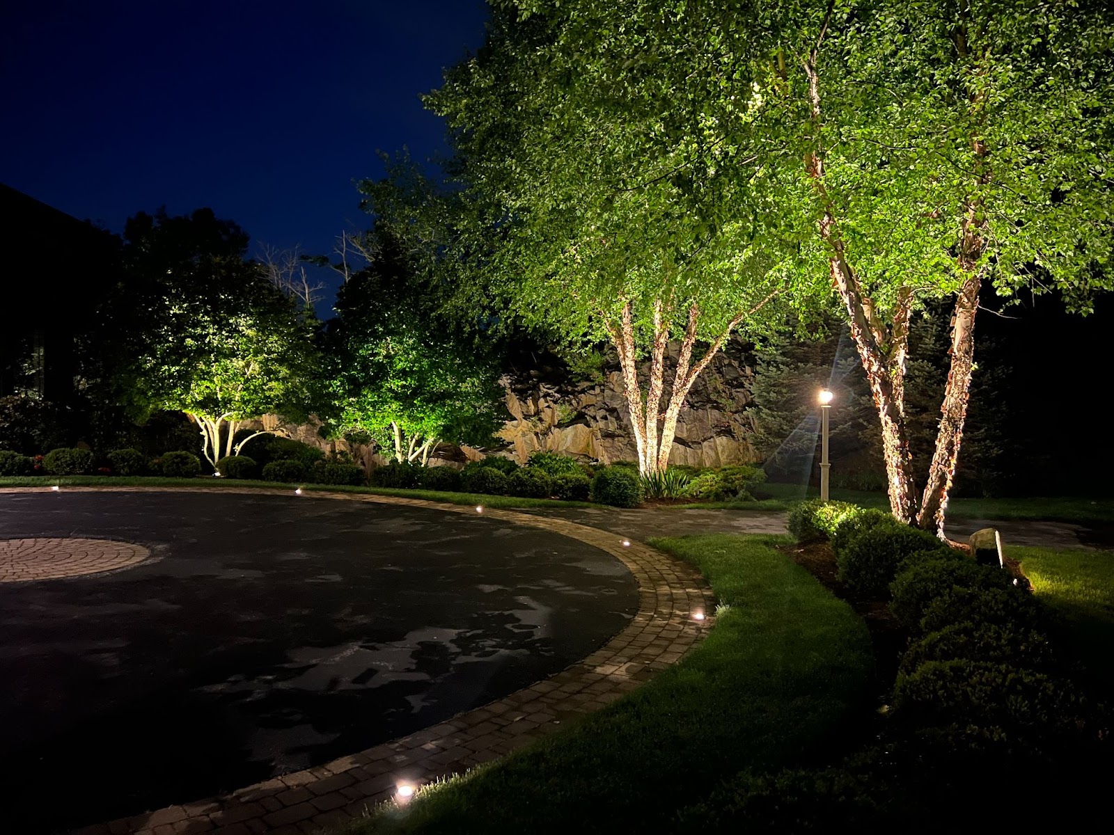 Uplighting and flush mount in ground lighting highlight the beauty of these paper birch trees and the pathway surrounding them