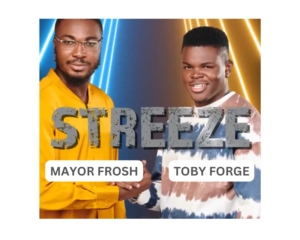 BBNaija Season 9 Streeze