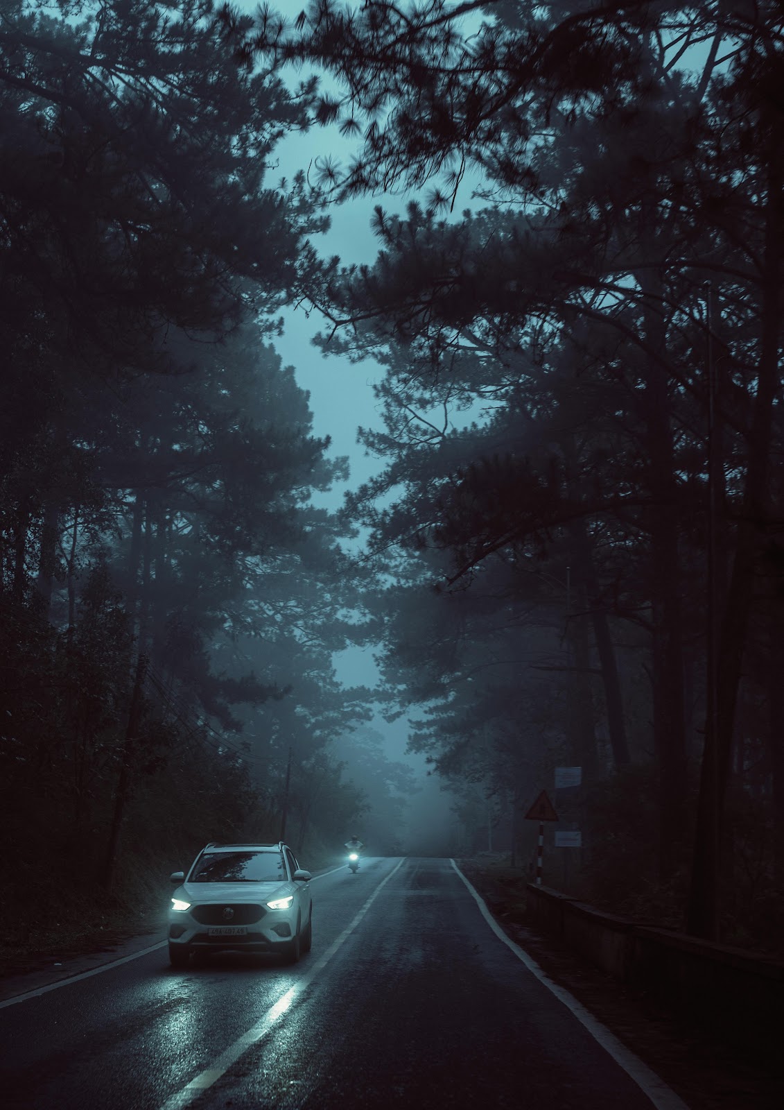 Driving through the fog | Source: Pexels