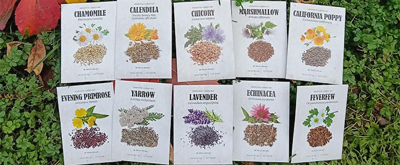 Medicinal Garden Kit 10 Natural Herbs