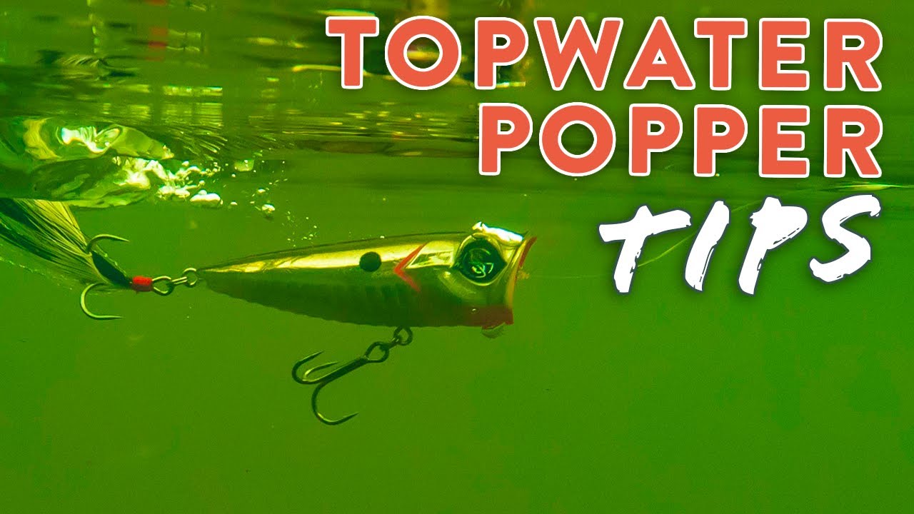 How to Rig a Popper: Expert Tips for Perfect Fishing Setup