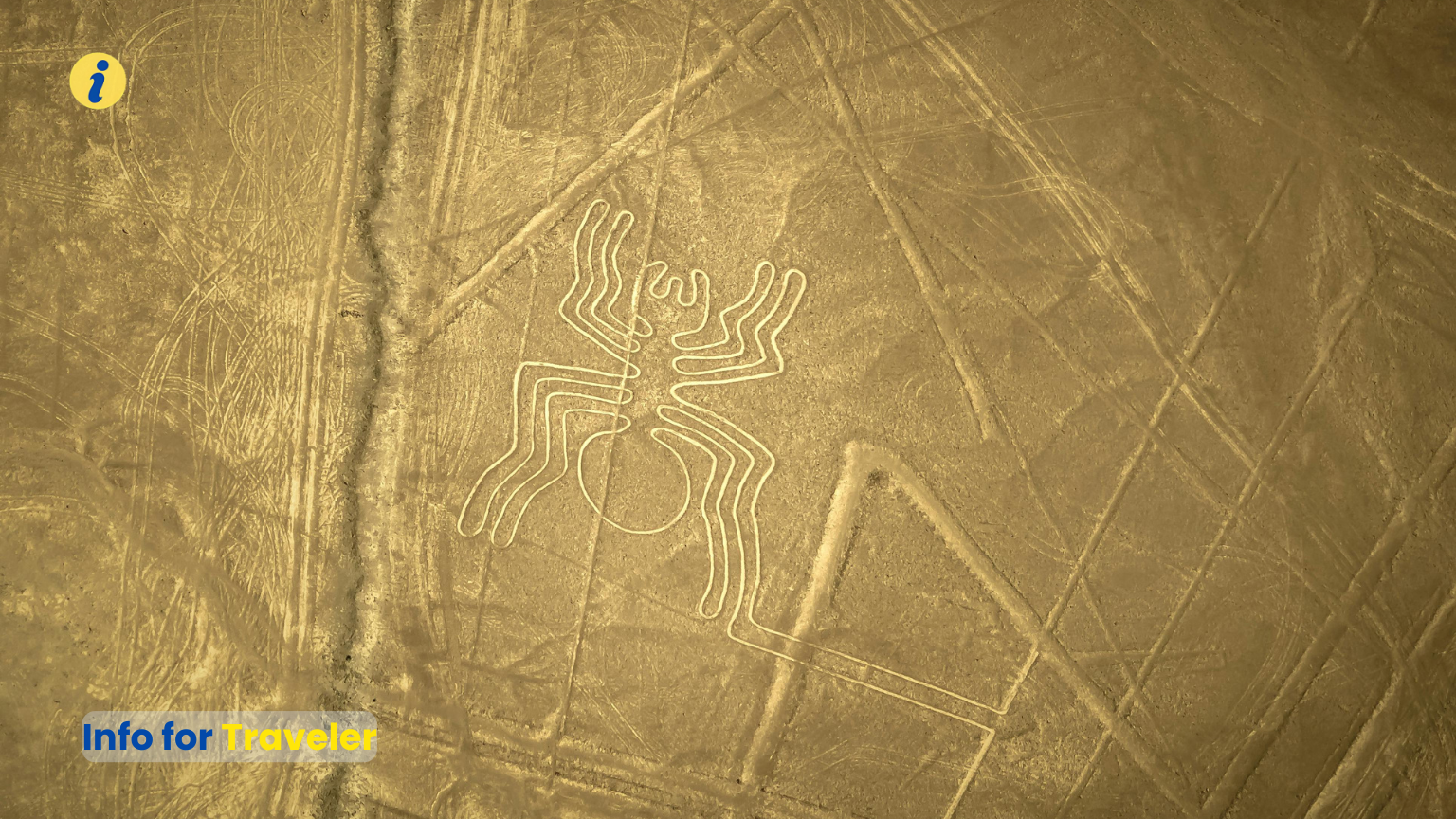 The mysterious  Nazca lines