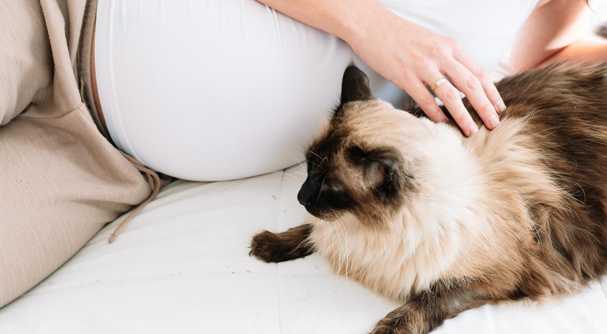 Cachorro deitado de barriga para cima

Descrição gerada automaticamente