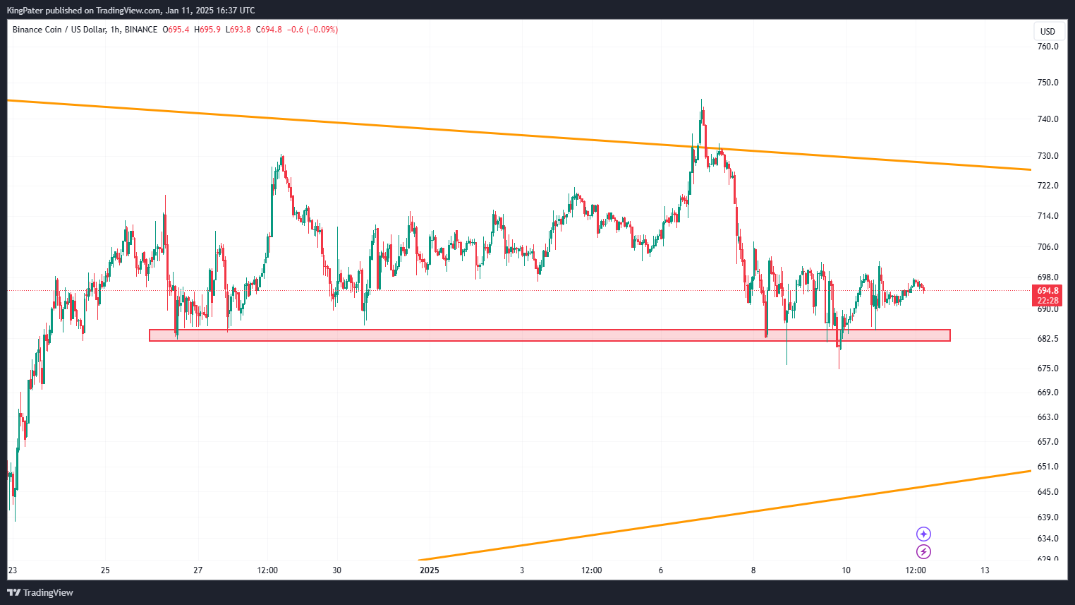 BNB/USDT Hourly chart jan 12 2025. Source: TradingView