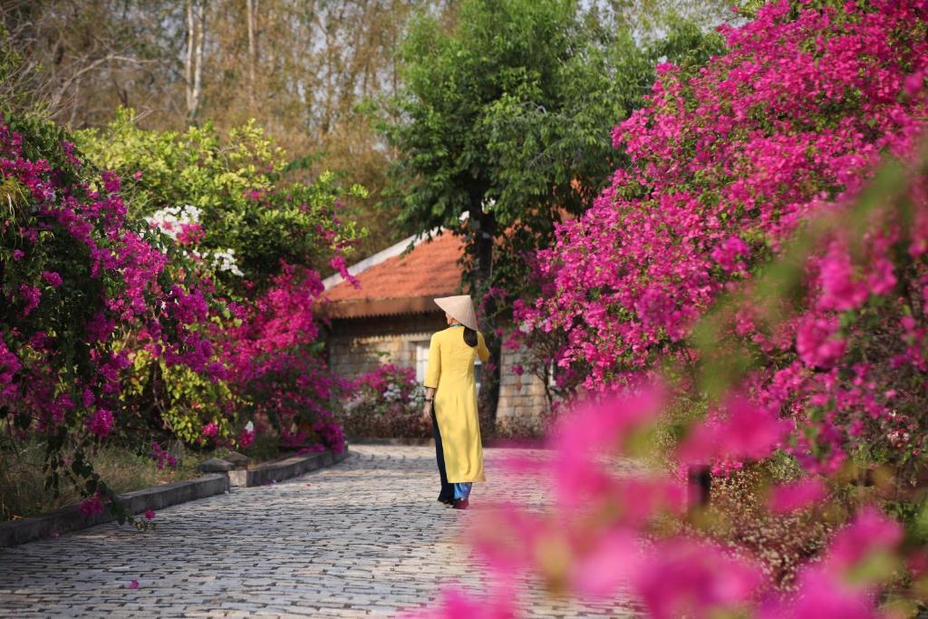 A person walking down a path with pink flowers

AI-generated content may be incorrect.