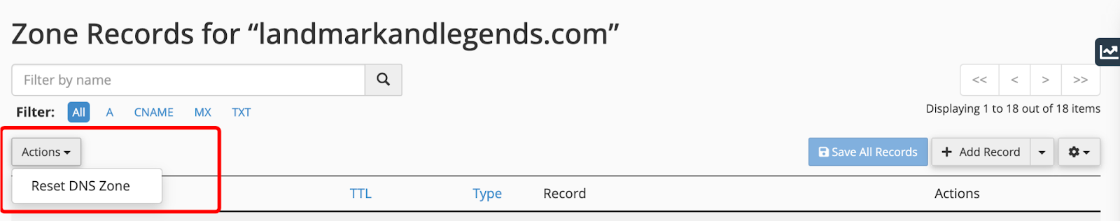 Reset DNS Records