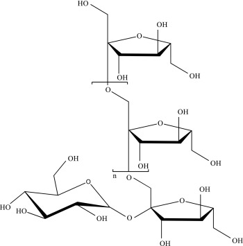 fructan structure