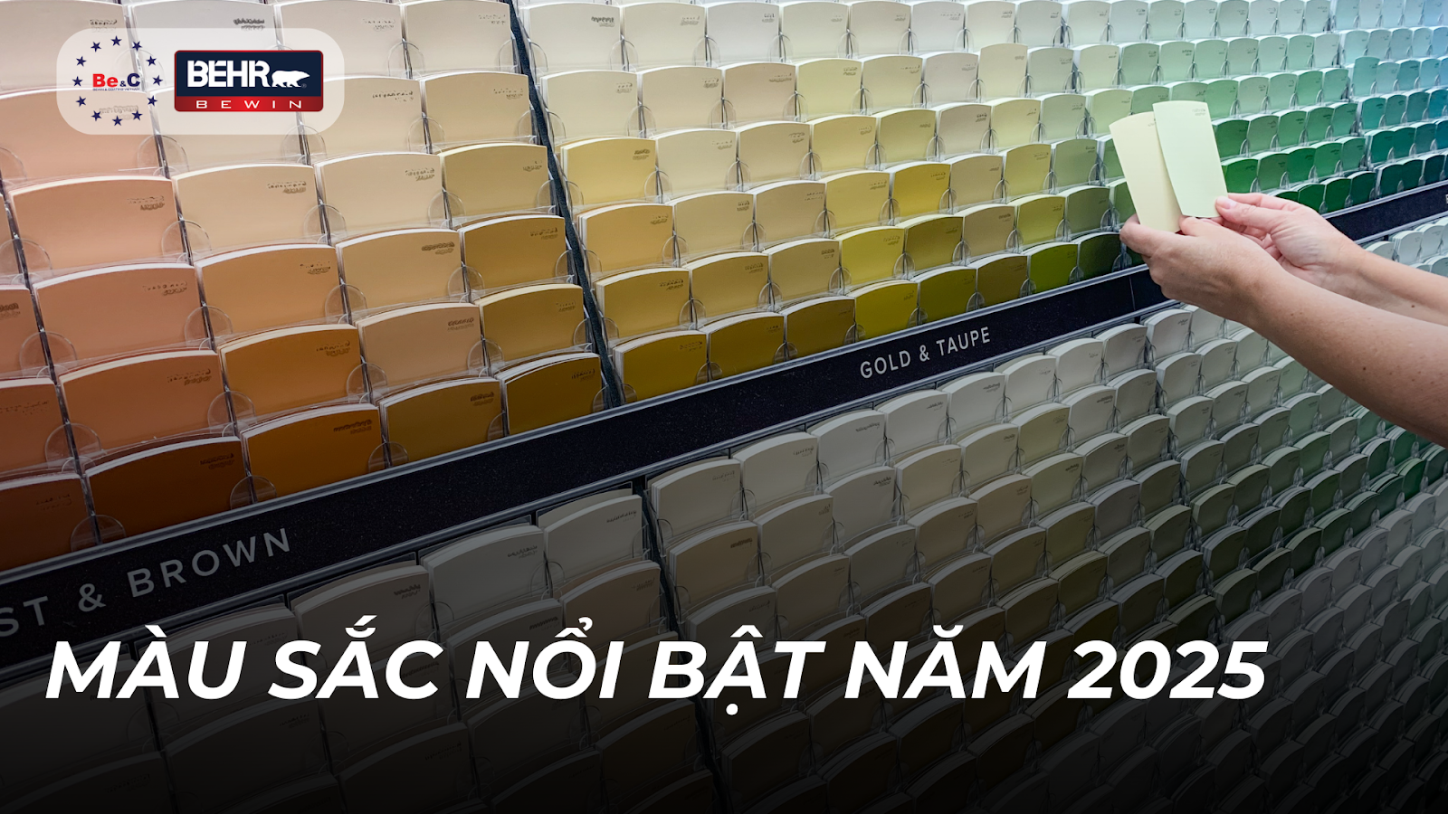 Màu sắc nổi bật năm 2025