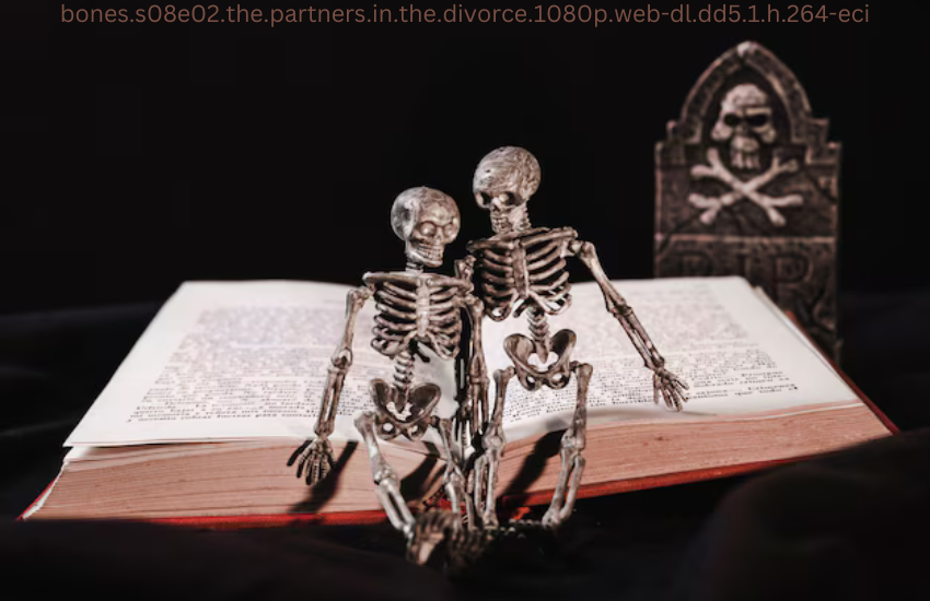 bones.s08e02.the.partners.in.the.divorce.1080p.web-dl.dd5.1.h.264-eci
