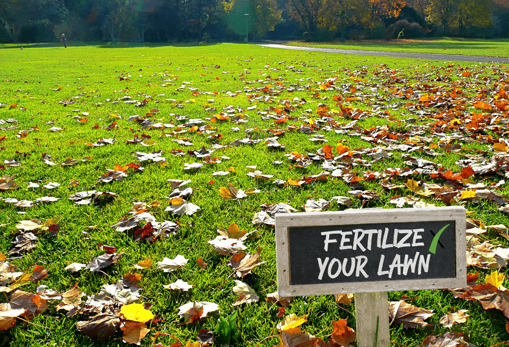 Fertilize Lawn