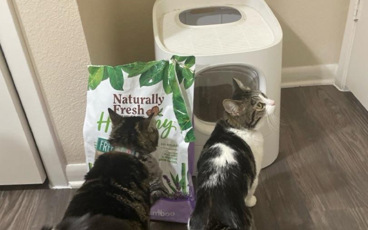 Naturally Fresh Cat Litter Review: Purr-fect Choice?