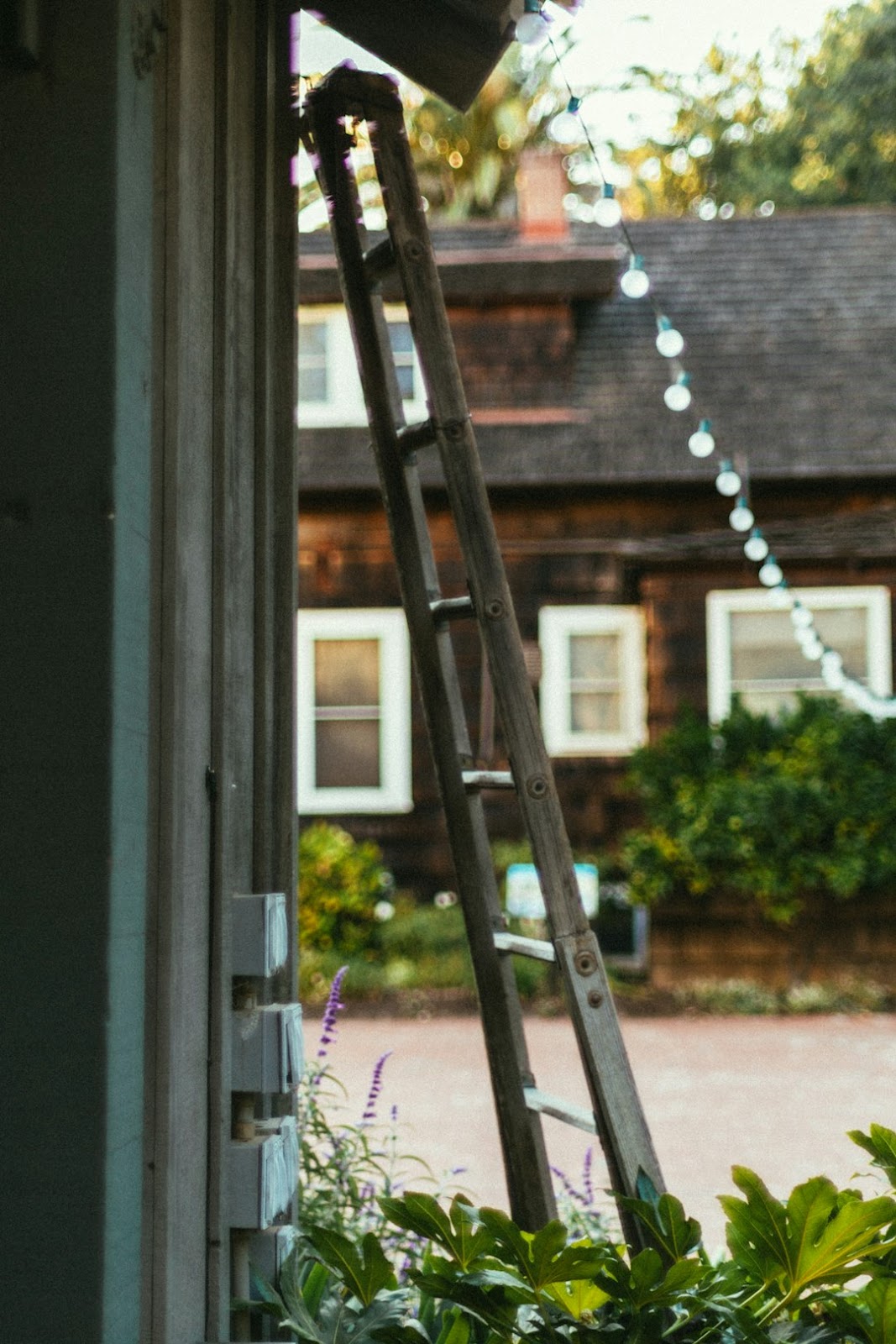 Choosing the right ladder