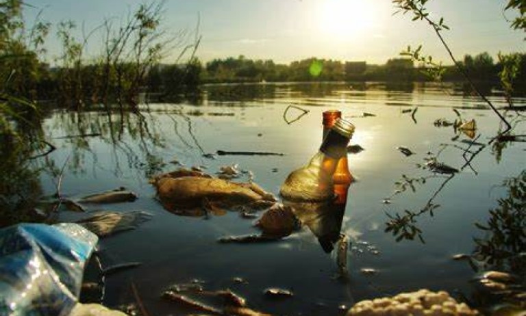 water ecosystem survey