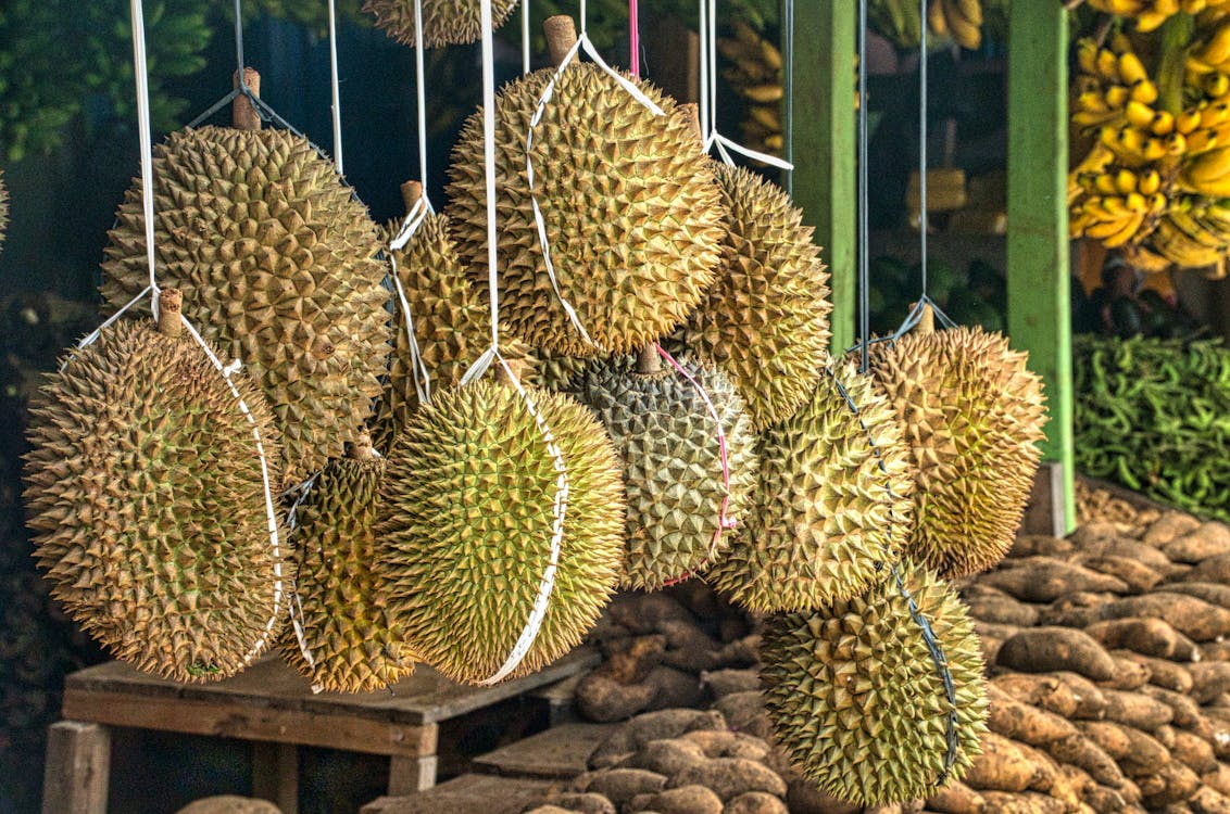 Bahaya Makan Durian