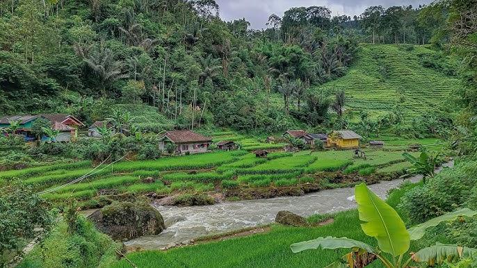 Suasana Sore Hari Di kampung || Terlihat Sepi Namun Bikin Betah || Rumah  Pinggir Sungai - YouTube