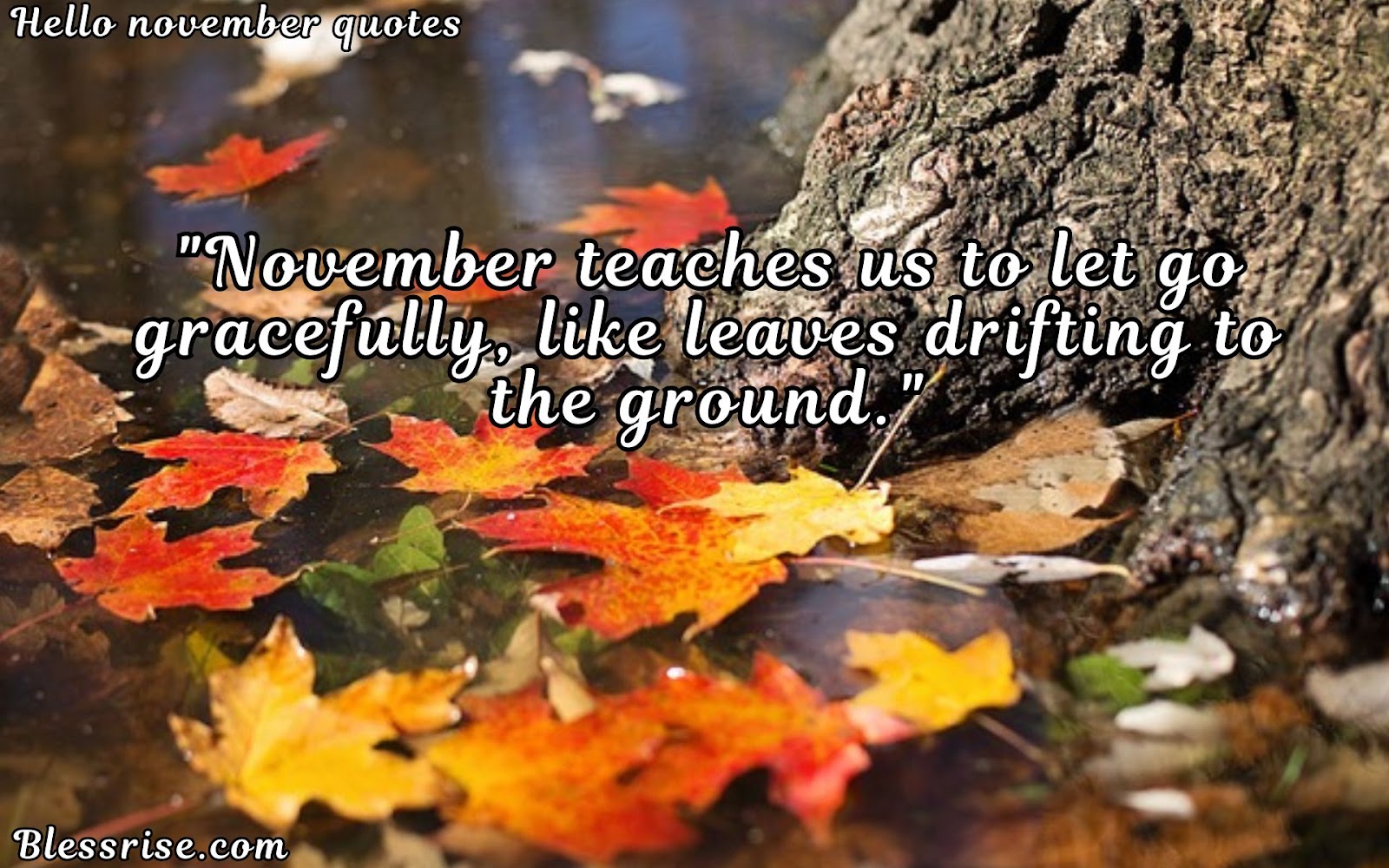 Fall quotes
